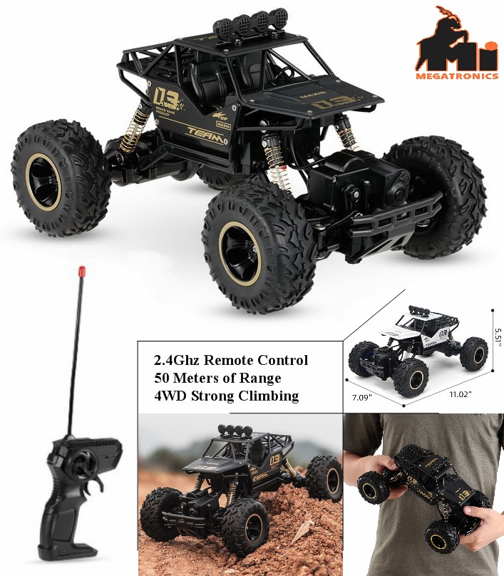 Team Maxis 03 rechargeable RC Car buggy black 2.4g